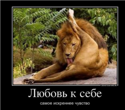 как научиться любить себя